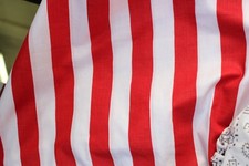 Stripe Poly Cotton Fabric Sold by The Yard Red White 60 inches, White,red