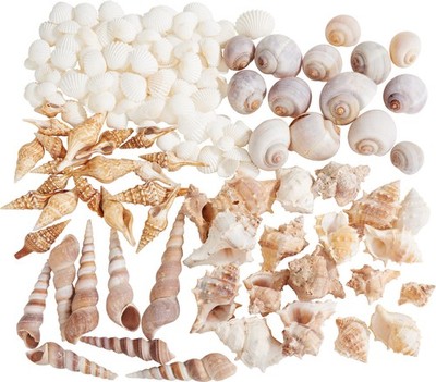Othmar Decorations Muschelmix Natural 500g Deko Muscheln