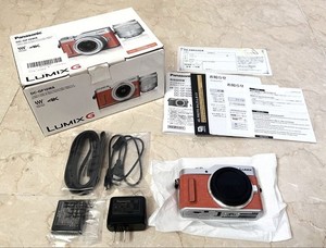 Lumix Gf10 | eBay