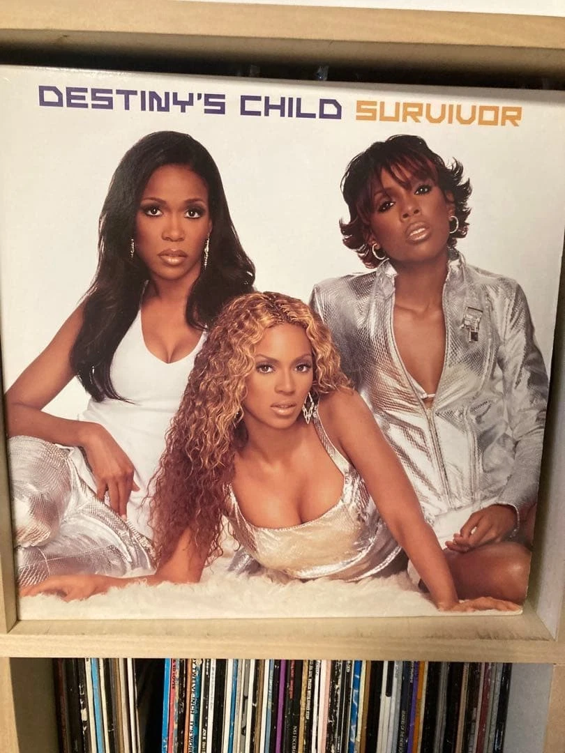 3枚セットDestiny's Child レコード　LP Destiny's Child / ST 1st Album 1998 US Original LP Vinyl Columbia