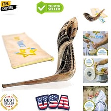 Kosher Ram Shofar Horn from Israel   12"-14" Musical Horn with Shofar Bag   D...