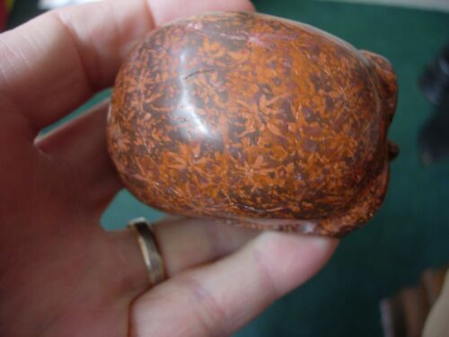 Crystal Skull large star fossil flower stone - Picture 3 of 6