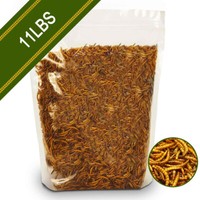 Dried Mealworms Bulk Non-GMO Natural for Wild Blue Bird Food Chickens Hen Treats 8