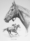 SEABISCUIT plus FREE bonus MAN O' WAR print!! FREE SHIP — photo 2