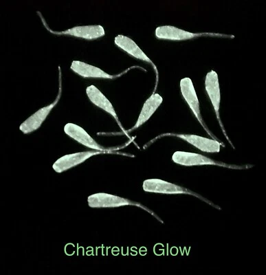 NORTHEAST CUSTOM BAITS 1” mini shad mousie ice fishing soft plastic crappie-Panfish Chart. Glow 80baits