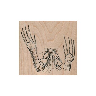 Mounted Rubber Stamp, Cat Scratching, Mad Cat, Cat, Kitty, Cat Claw, Claws