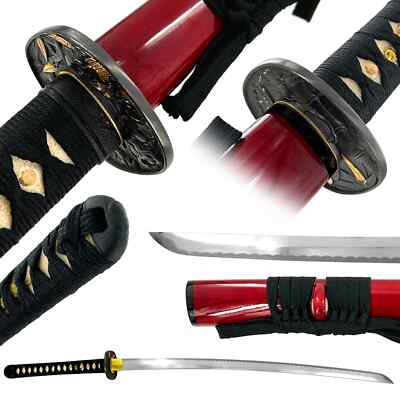 Musashi Premium Tora Katana - Hand Forged High-Metal Sword Overall 41''