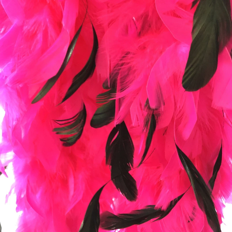 Boa Bright Fucsia/Plumas Negras Nuevo con Etiquetas Foto 4 de 4