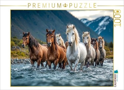 CALVENDO Puzzle Durch den Bach zur nächsten Weide | 1000 Teile Lege-Größe 64x48c