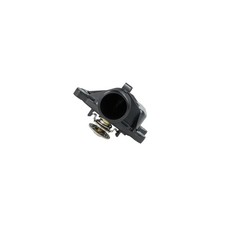 Thermostat Mg ZT
