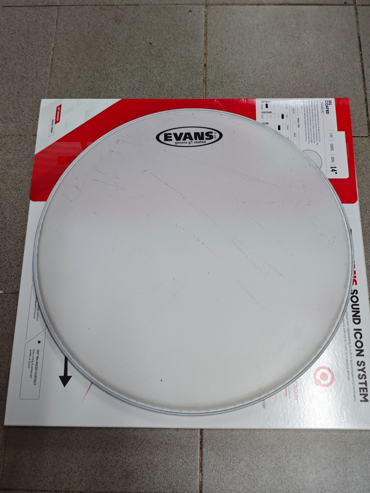 Evans B14G1 GENERA G1 COATED SABBIATA 14" 36 cm PELLE BATTENTE PER Rullante/Tom