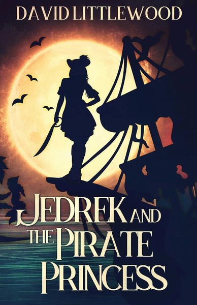 David Littlewood | Jedrek And The Pirate Princess | Taschenbuch | Englisch-image