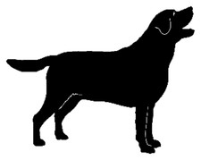 Labrador Retriever STDS3 Decal Die Cut Window Graphic High Quality Vinyl Truck