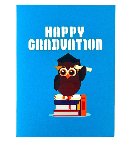 BC Worldwide Ltd 3D pop up card Owl Happy Graduation Hats Off Congratulations - Picture 4 of 4