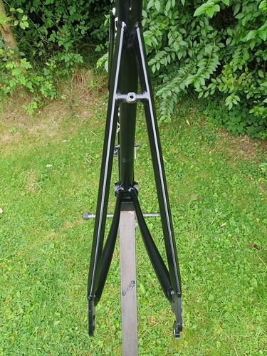 Principia RS6 - Picture 7 of 14