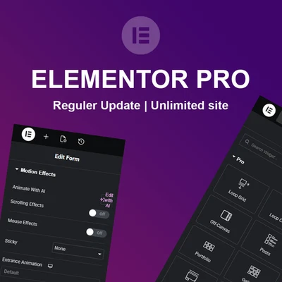 👉 Elementor Pro 🤑🔥 GPL lifetime access with update - Image 1 of 4