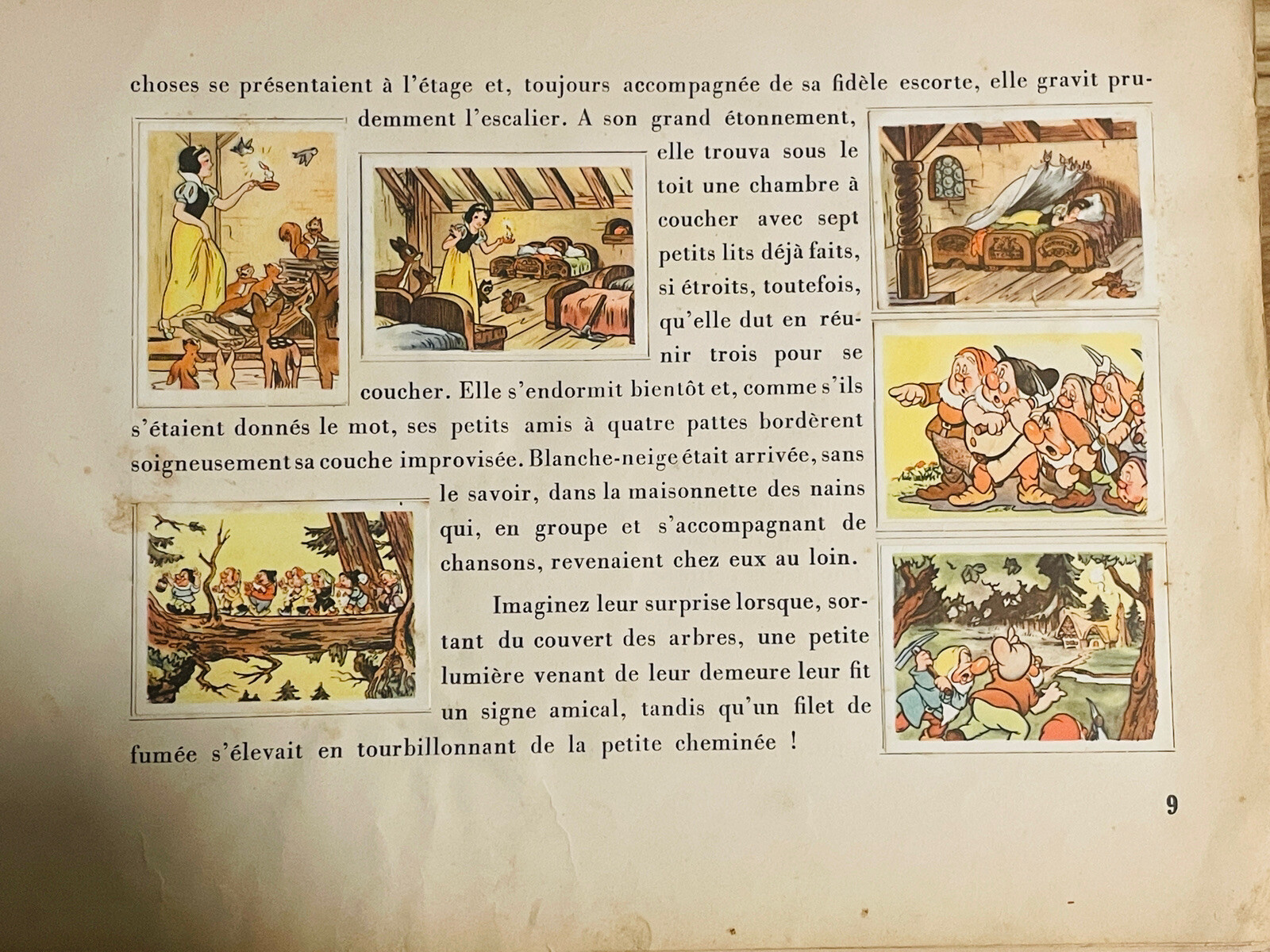 Imagen 9 de 19