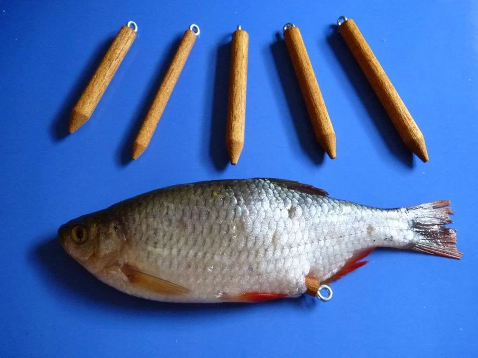 5 Stück versch. Auftriebskörper für Naturköder - Auftrieb - Grundangeln - Angeln