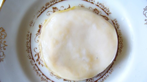 Jun Kombucha (Fermentation mit grünem Tee und Honig), Teepilz, Scoby Kambucha - Bild 2 von 4
