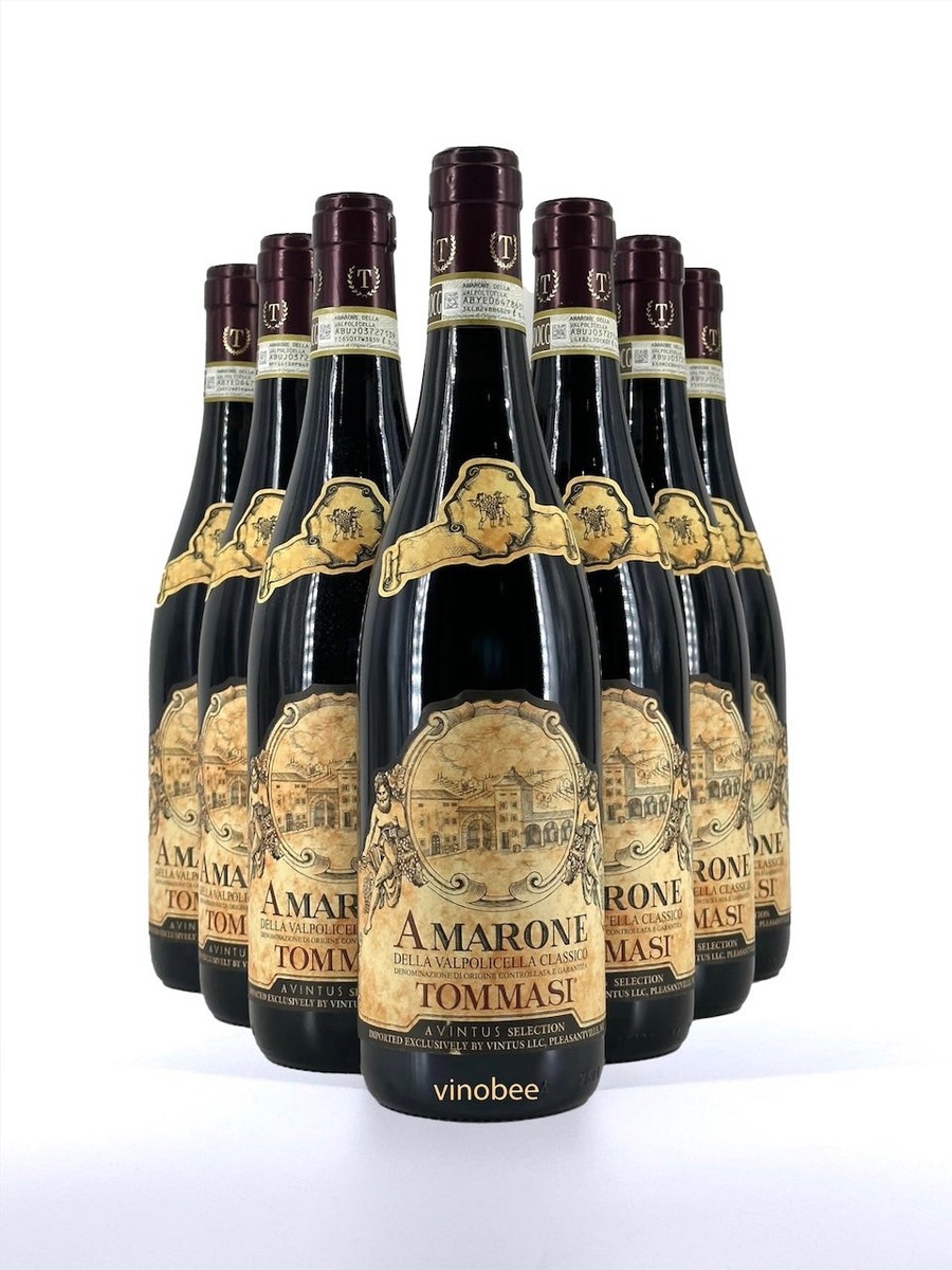 Tommasi Amarone della Valpolicella Classico Corvina 2020 750ml (12