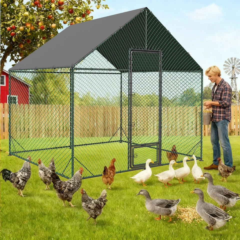 Большой металлический курятник с ручкой для бега 20 x 10 x 9 дюймов для прогулок в клетке для птицы - Изображение 3 из 4