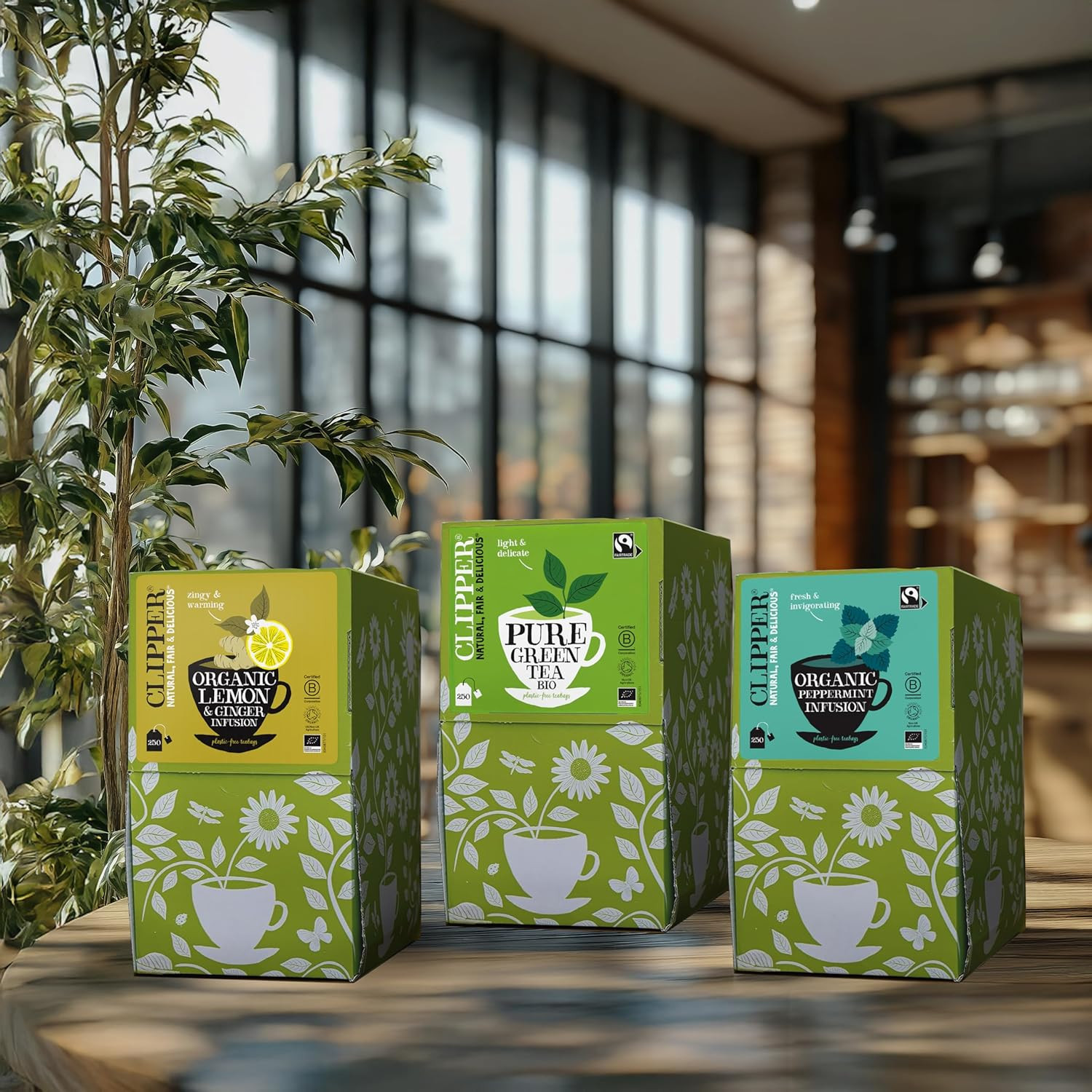 Clipper Organic Pure Green Tea Bags - 250 Biodegradable, Fair Trade Bags