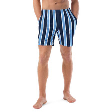 Navy Blue Light Blue Vertical Striped Custom Print Men's Swim Trunks 2XS-6XL