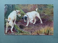 1911 PC TWO SMOOTH FOX TERRIER DOGS AT HOLE by NORAH DRUMMOND, TUCK