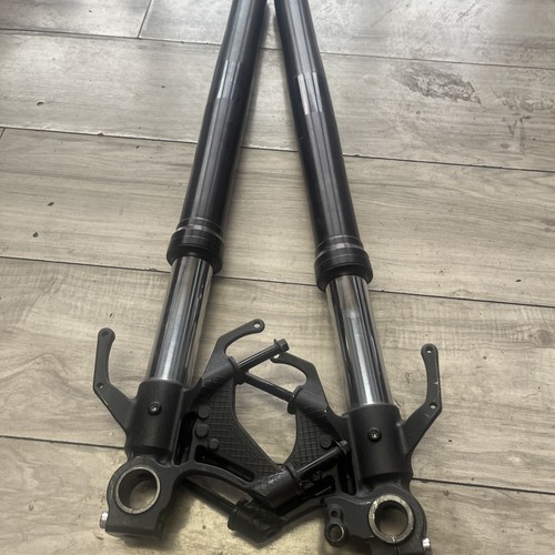 2015-2019 16 17 18 19 Yamaha R1 R1S Front Forks Suspension Tubes OEM - Picture 20 of 20