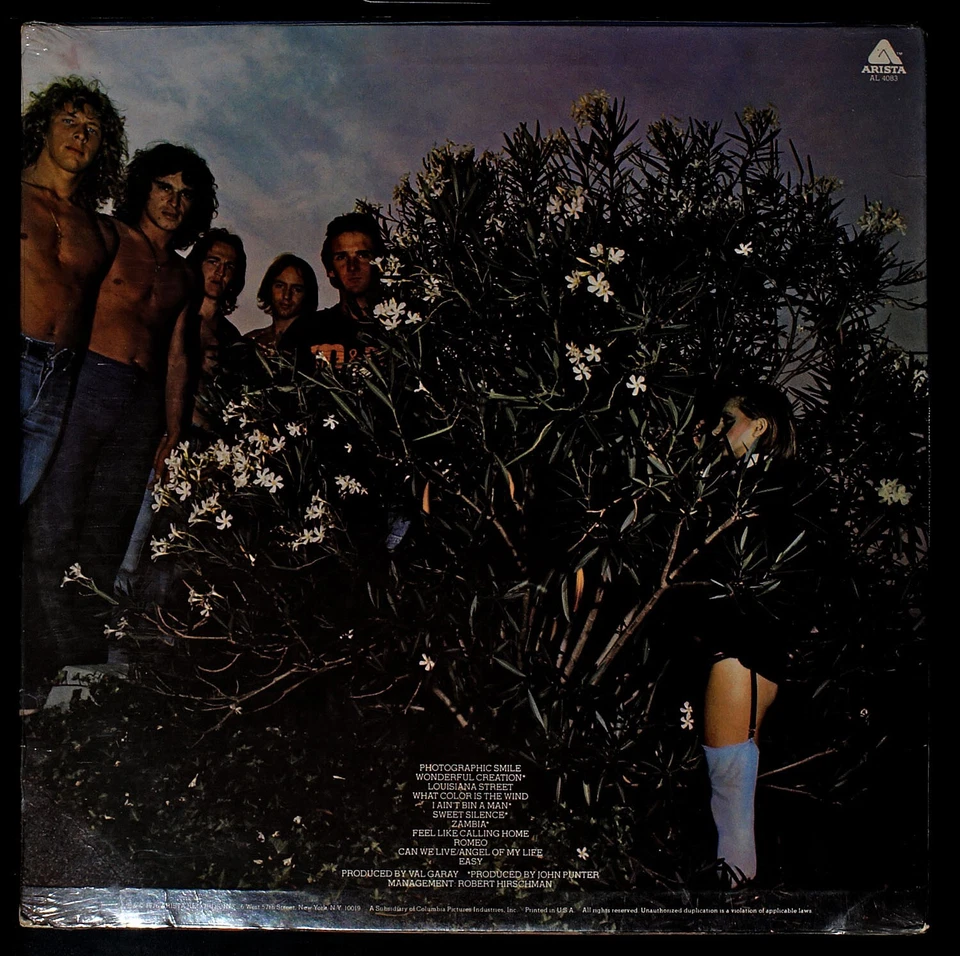 Mr. Big - Photographic Smile - original LP record [NHB2-044] USA SEALED - Image 2 of 3