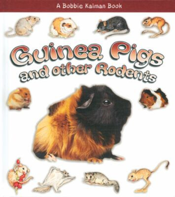 Guinea Pigs and Other Rodents by Bobbie Kalman (2005, Trade