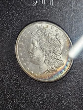 🌟 1884-CC $1 Morgan Silver Dollar Coin GSA Case CRESENT OBVERSE & TONED REVERSE