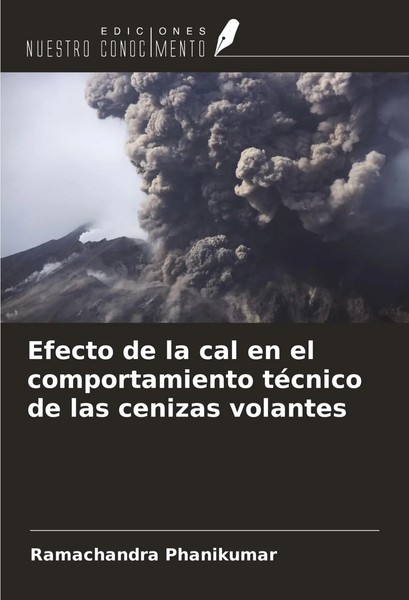 Efecto De La Cal En El Comportamiento TéCnico De Las Cenizas Volantes Phanikumar-image