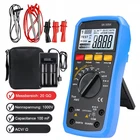 HoldPeak TRMS Multimeter,Megohmmeter Insulation Tester 60MΩ 1000V Auto-Ranging
