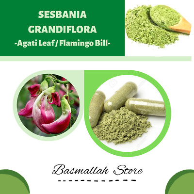 CAPSULES Agati Leaf Vegetable Hummingbird Tree West Indian Pea White Dragon Tree