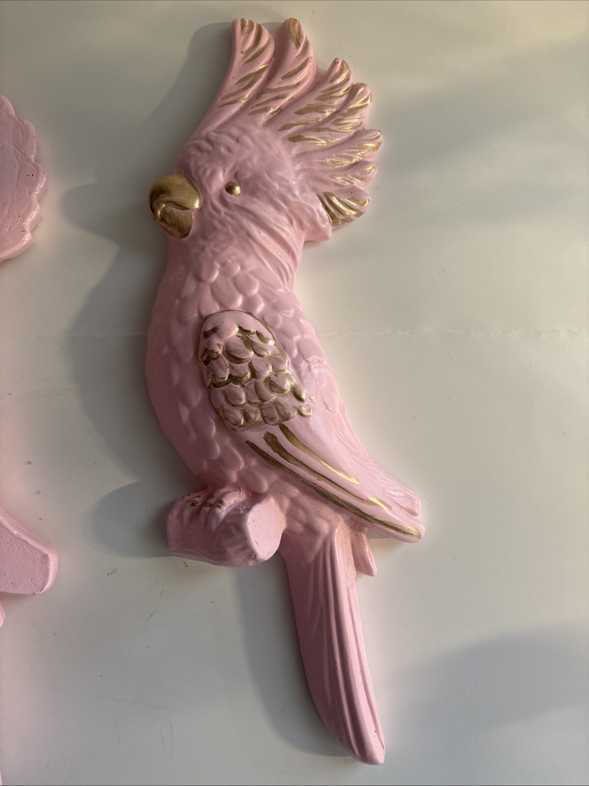 Picture 4 of 6