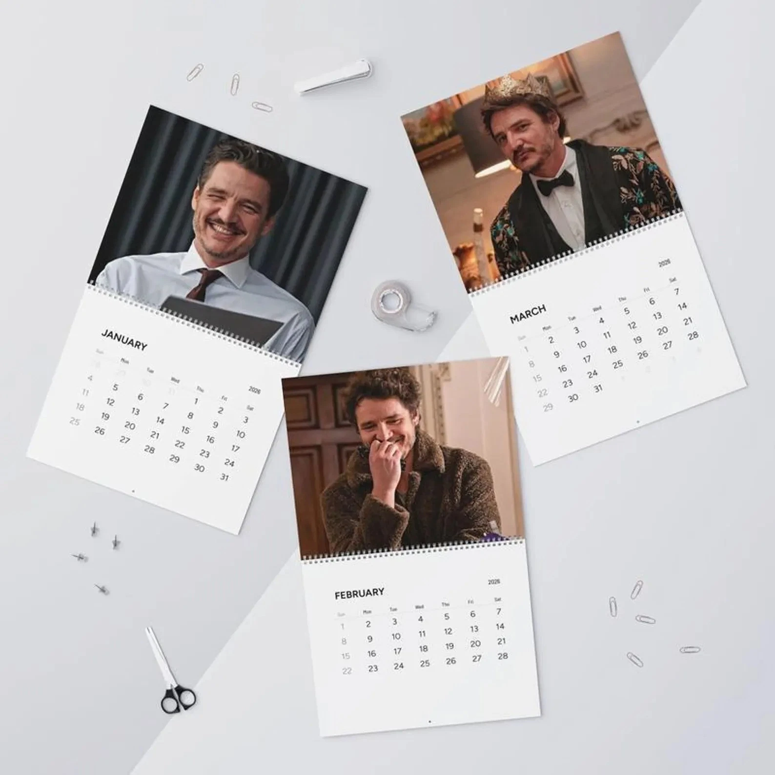 Pedro Pascal 2026 Calendar, Celebrity Crush Monthly Planner, Funny Wall Calendar
