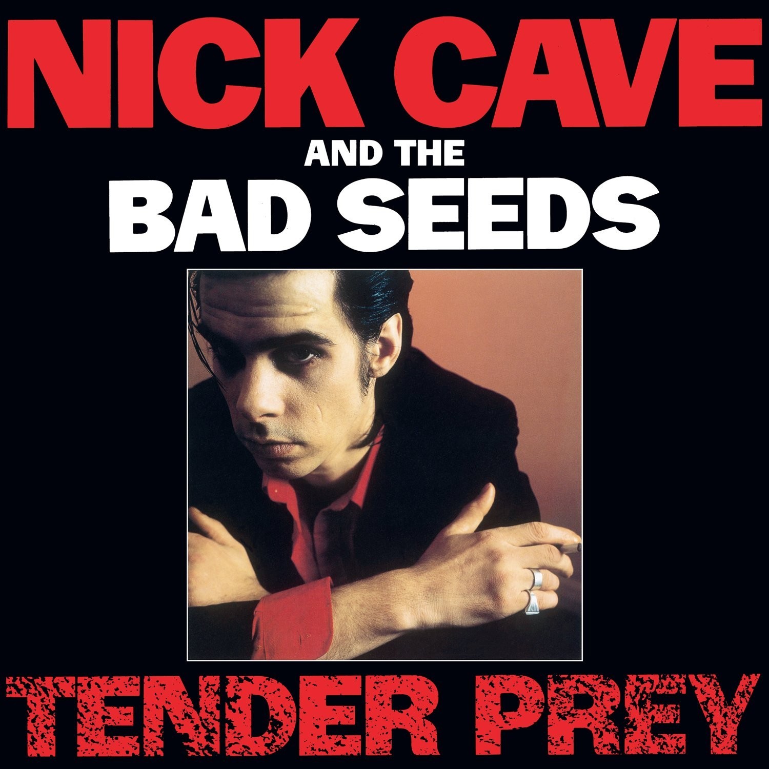 Tender Prey - Image 2
