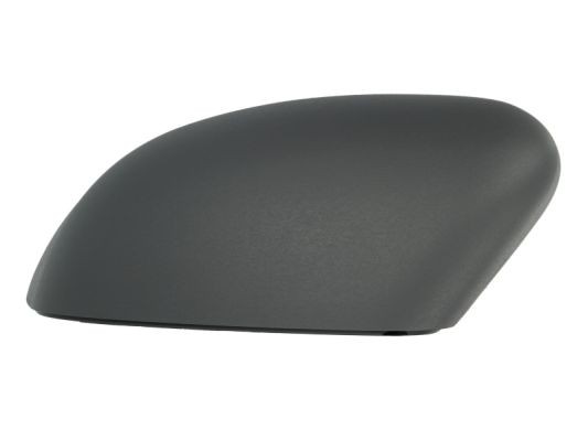 Left BLIC 6103-03-039353P Housing, exterior mirror for FORD
