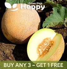VEGETABLE MELON ANANAS - 50 SEEDS CUCUMIS MELO - SWEET AND SLIGHTLY SPICY FLAVOR