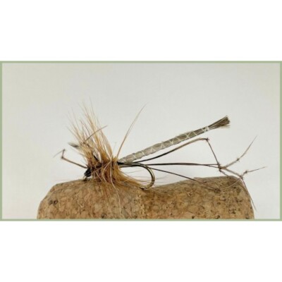 Daddy Long Legs Forellenfliegen, 6er Pack, Natural Detached Body, 10/12 Angelfliegen