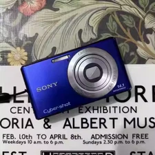 SONY Cyber-shot DSC-W530 Digital Camera 14.1 MP 4x Optical Zoom English Language