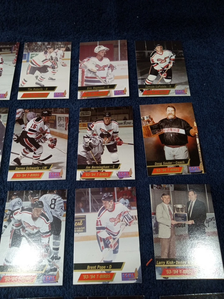 1993-94 Wheeling Thunderbirds Trading Card Set - Image 3 of 4