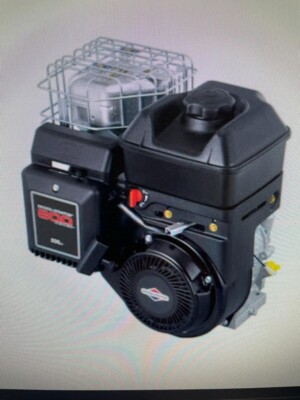 Motor Komplett 4 Mal Briggs & Stratton 800 Bialbero Badminton Schwer 5,5HP