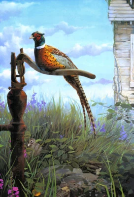 Canvas Print Pheasant Oil painting Picture HD printed on canvas L1577