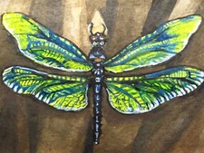 Watercolor Painting Dragonfly Fly Insect Nature ACEO Art