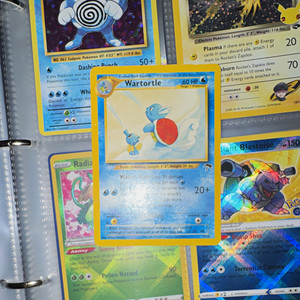 Wartortle Southern Islands | eBay