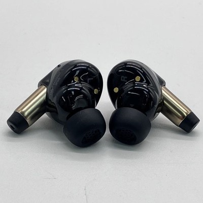 Victor HA-FW5000T-T WOOD Master True Wireless Earphones Sunburst
