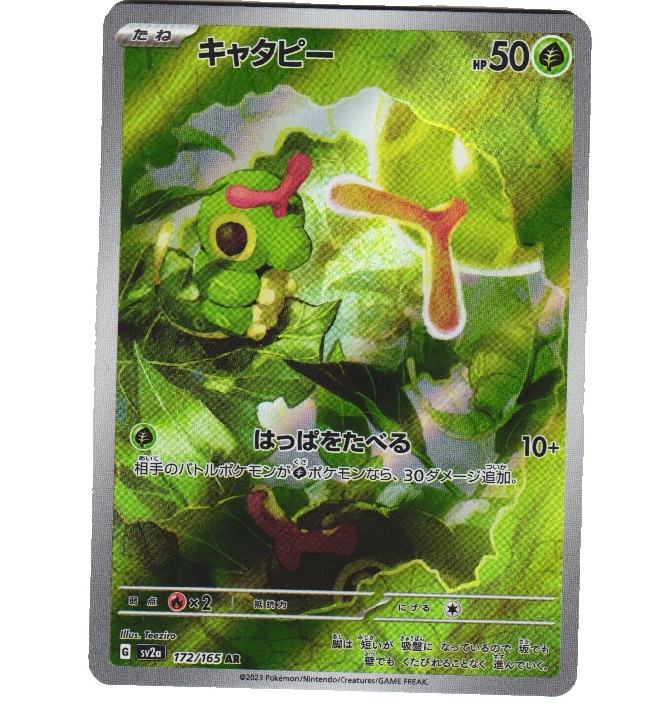 Caterpie Pokemon | eBay Caterpie Pokemon | eBay
