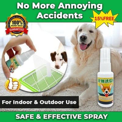 puppy toilet training aids